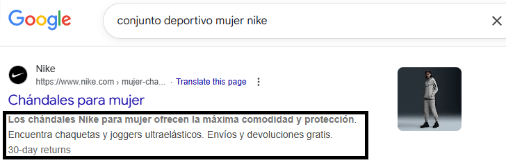¿Qué es la etiqueta "Meta Description" y cómo optimizarla para SEO? ¿Sigue siendo importante en 2026? 1 Meta description en la SERPs